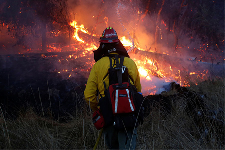 Firefighters battle a wildfire near Santa Rosa, California, US, October 14, 2017