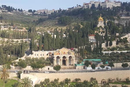 "جبل الزيتون" المطل على الاقصى.. من الجبال الهامة لما يمثله من قداسة ومكانة دينية