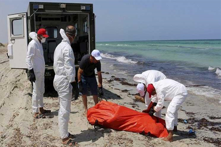 السواحل الجزائرية