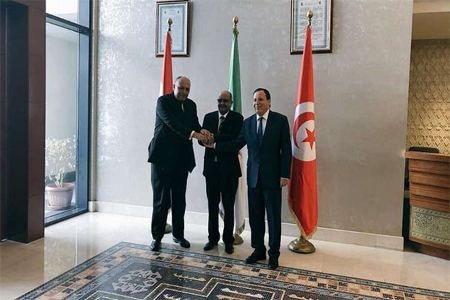 وزراء خارجية تونس والجزائر ومصر