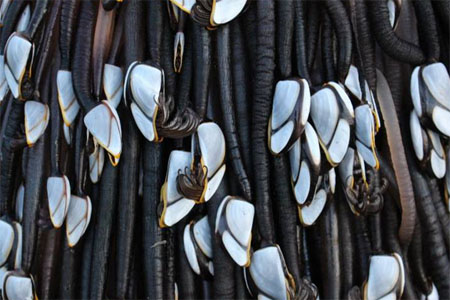 © Melissa Doubleday / Facebook