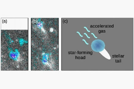 قنديل بحر فضائي