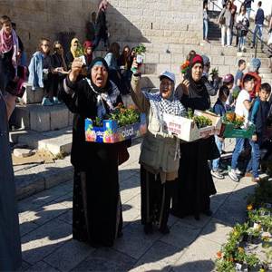 قوات الاحتلال تقمع وقفة احتجاجية في باب العامود في القدس