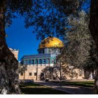 نتأخر ولكن نعود.. مفتتح العدد